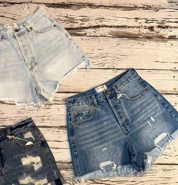 Frayed Jean Shorts