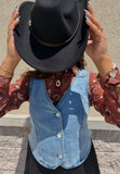 Western Mesh Button Up